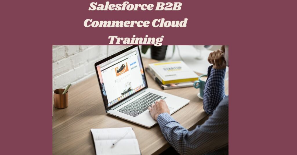 Salesforce B2B Commerce Cloud Training