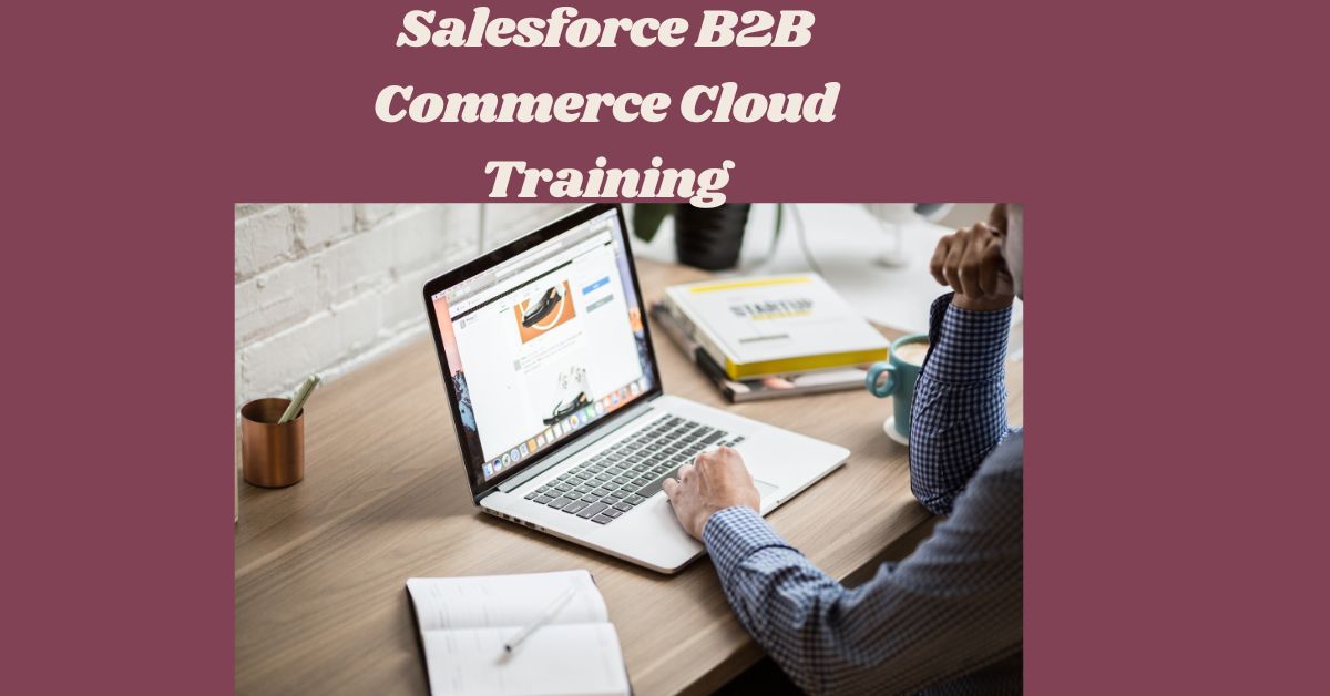 Salesforce B2B Commerce Cloud Training Pass the Entry Barrier, Enter the Elite