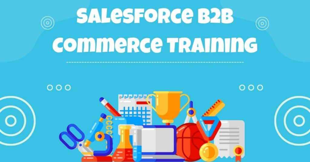 Salesforce B2B Commerce Training